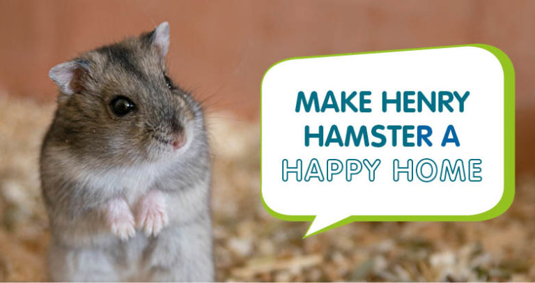 Henry the hampster