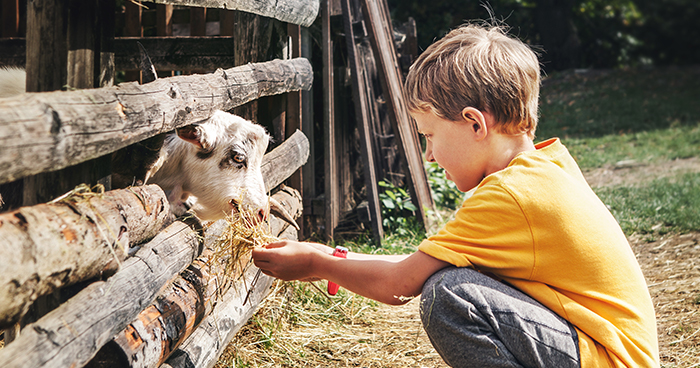 Little boy with a goat