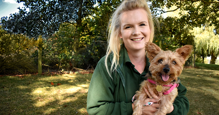 Staff member working with a dog