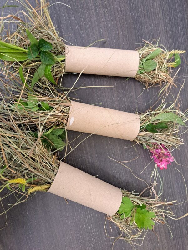 Three cardboard tubes filled with dried grass, green leaves, and purple flowers create a tune enrichment feeder for small pets. Arranged diagonally on a dark wooden surface, each tube brims with a vibrant mix of foliage.