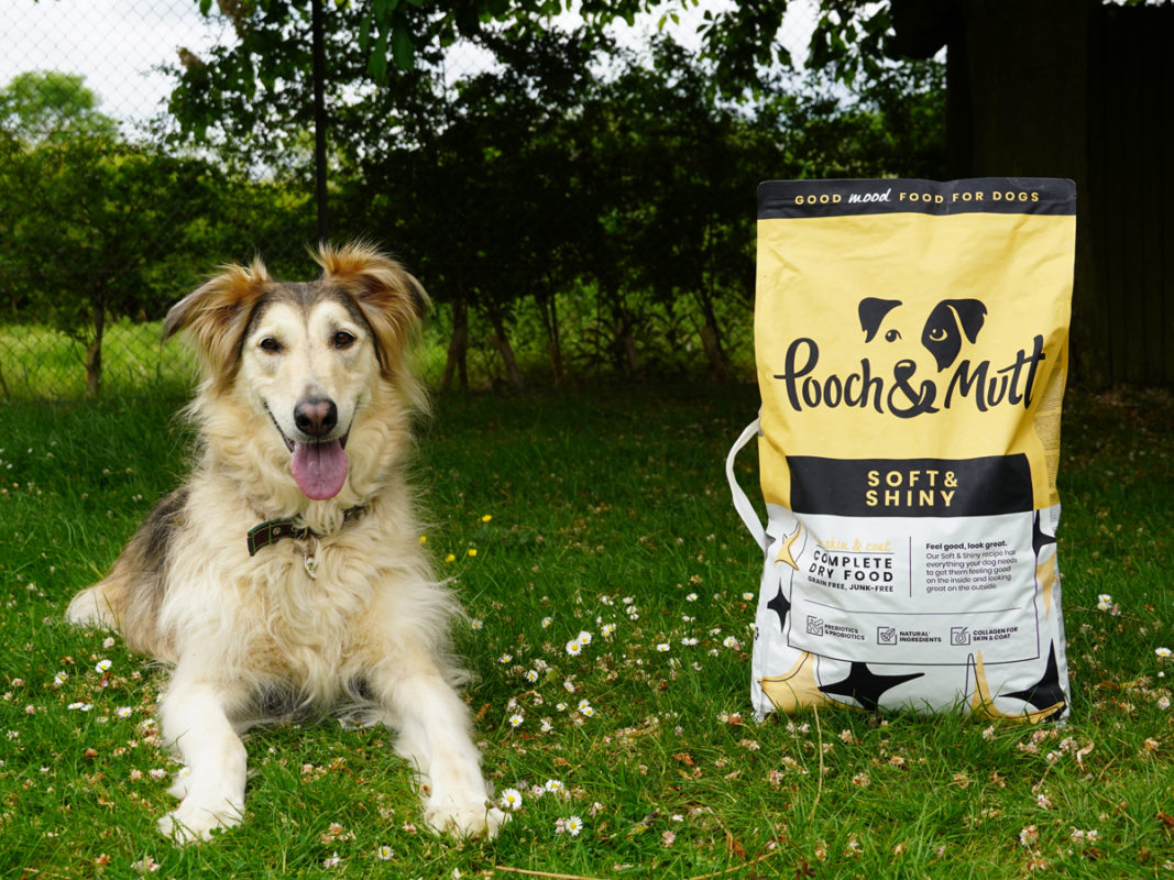 Mally benefits from Woodgreen's partnership with Pooch & Mutt
