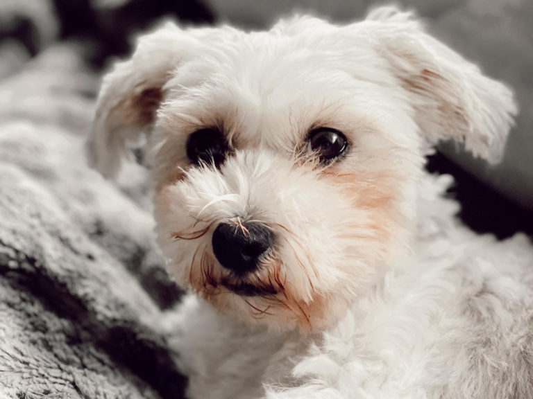 Winnie's treatment helped transform her life