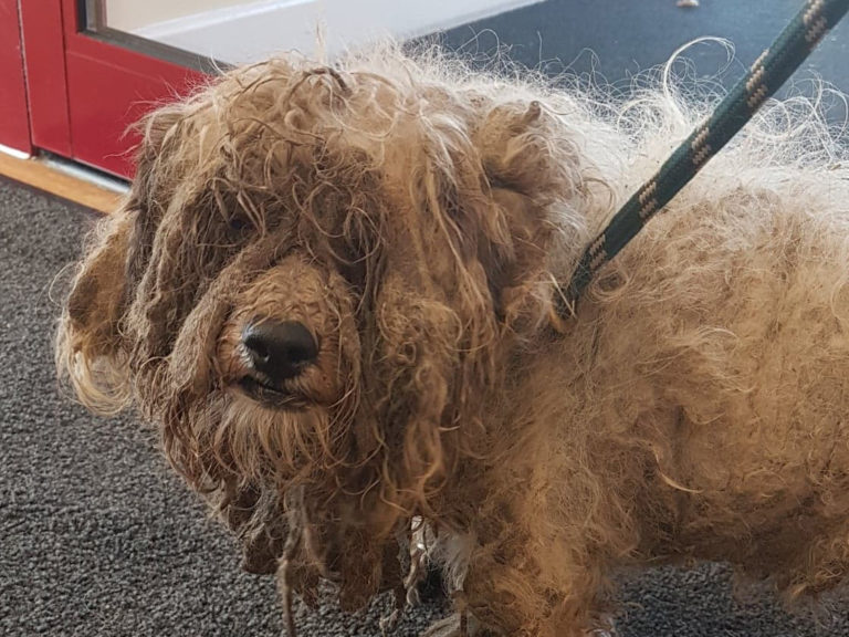 Winnie had been left abandoned near some outbuildings