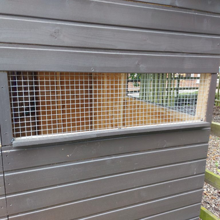 Window Ledge For Rabbits Rabbit Shed Ideas: Converting A Shed Into A Rabbit House - Woodgreen ...