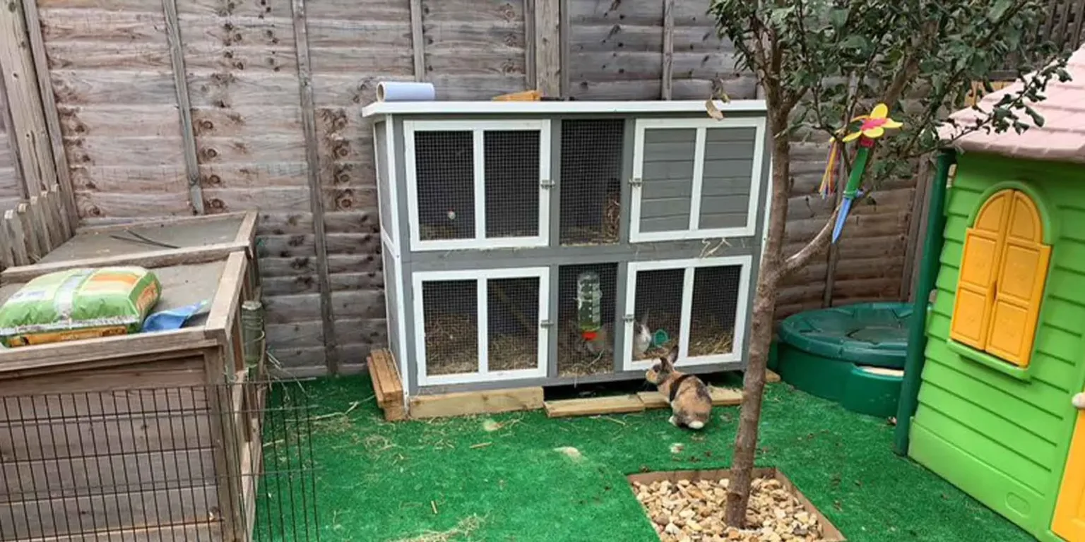 Rabbit accommodation