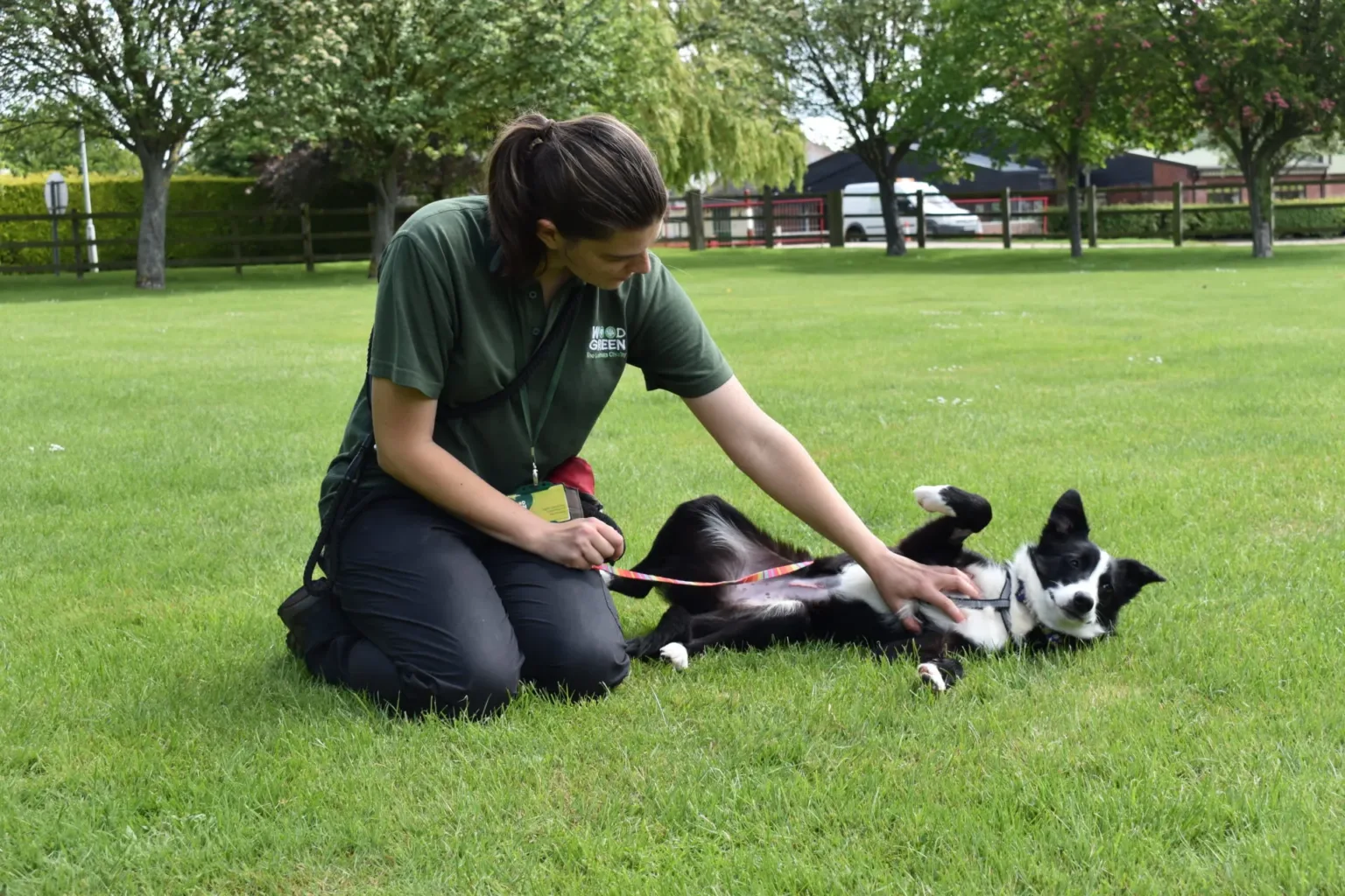 Kimmie lies on the grass with her carer petting her