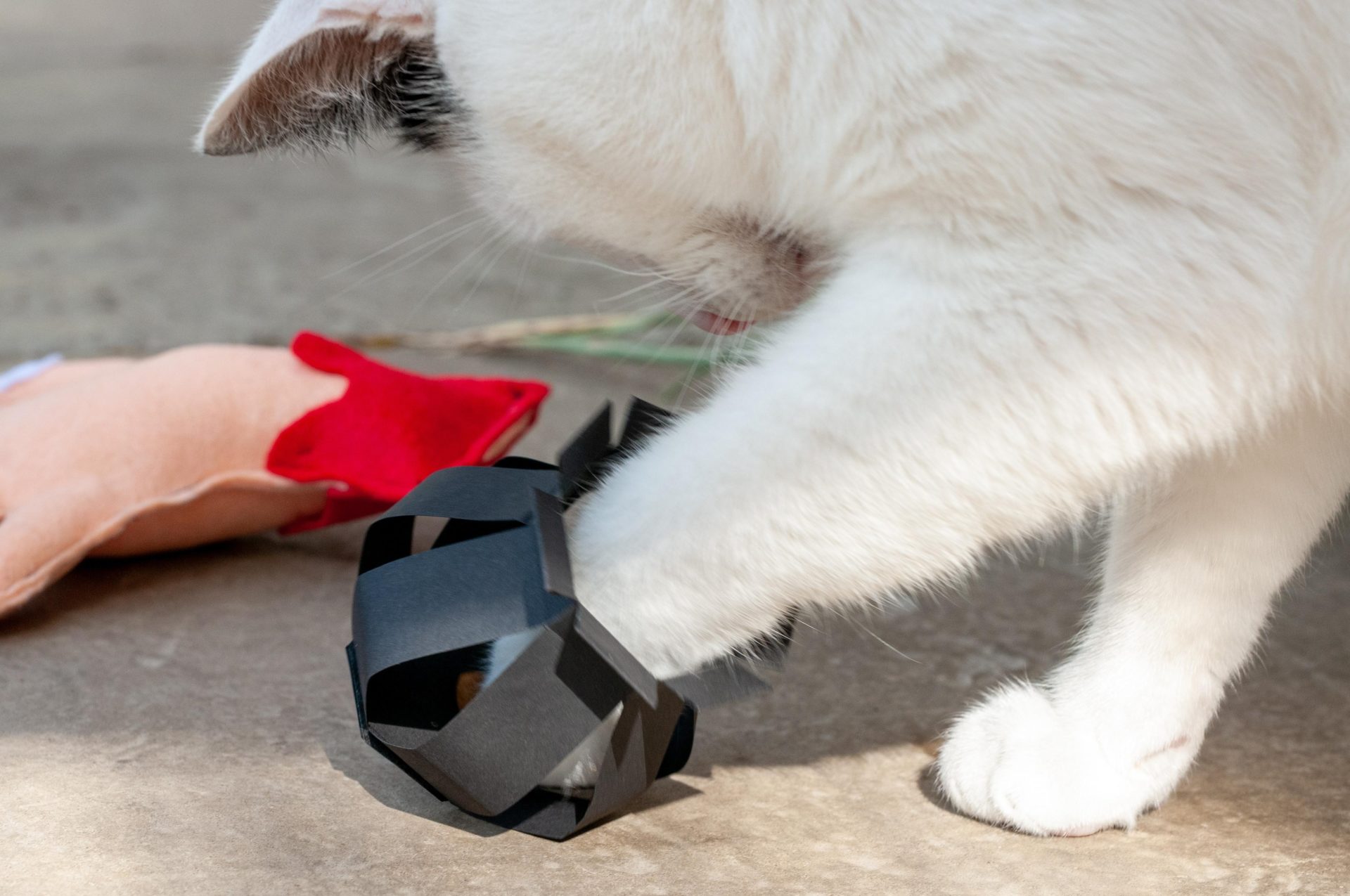 Cauldron enrichment feeder