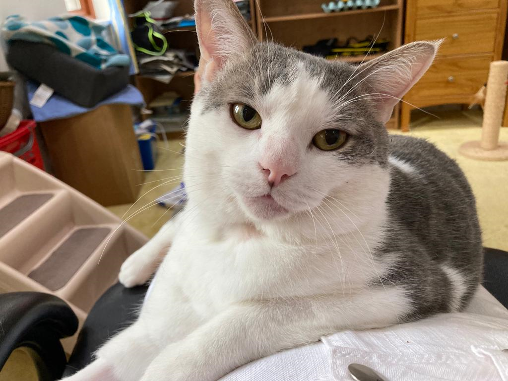 Smudge