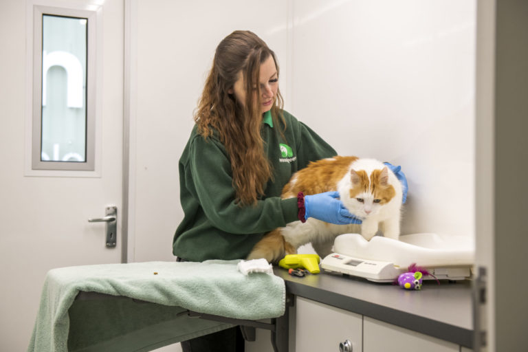 Serena weighing Bagpuss in Dennis - community outreach vehicle