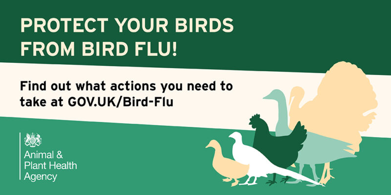 Bird flu - Defra