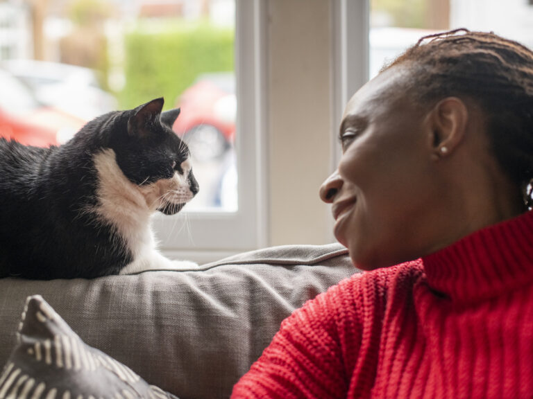 A woman sits on a sofa looking at a black and white cat sat on the back of the sofa