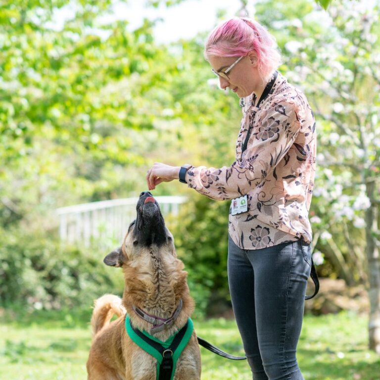 Behaviour and Training Specialist Ciara