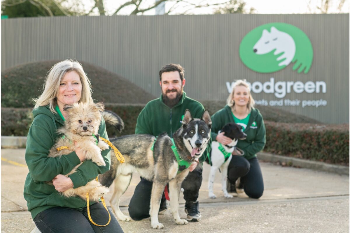 ‘The Dog House’ comes to Woodgreen