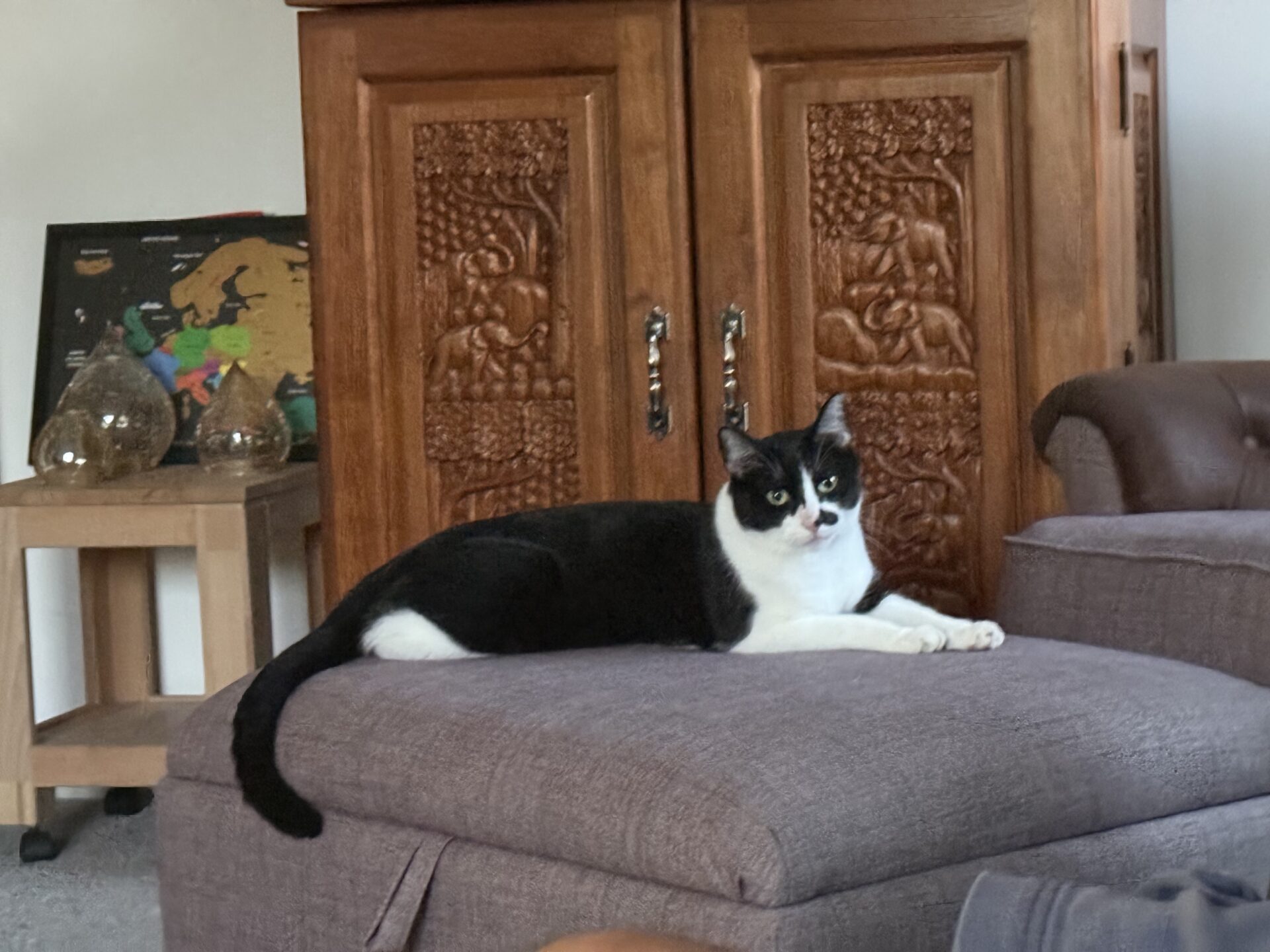A black and white cat is lying on a gray ottoman in a living room, with a carved wooden cabinet and a side table with glass decor in the background.