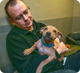 Woodgreen team member with puppy