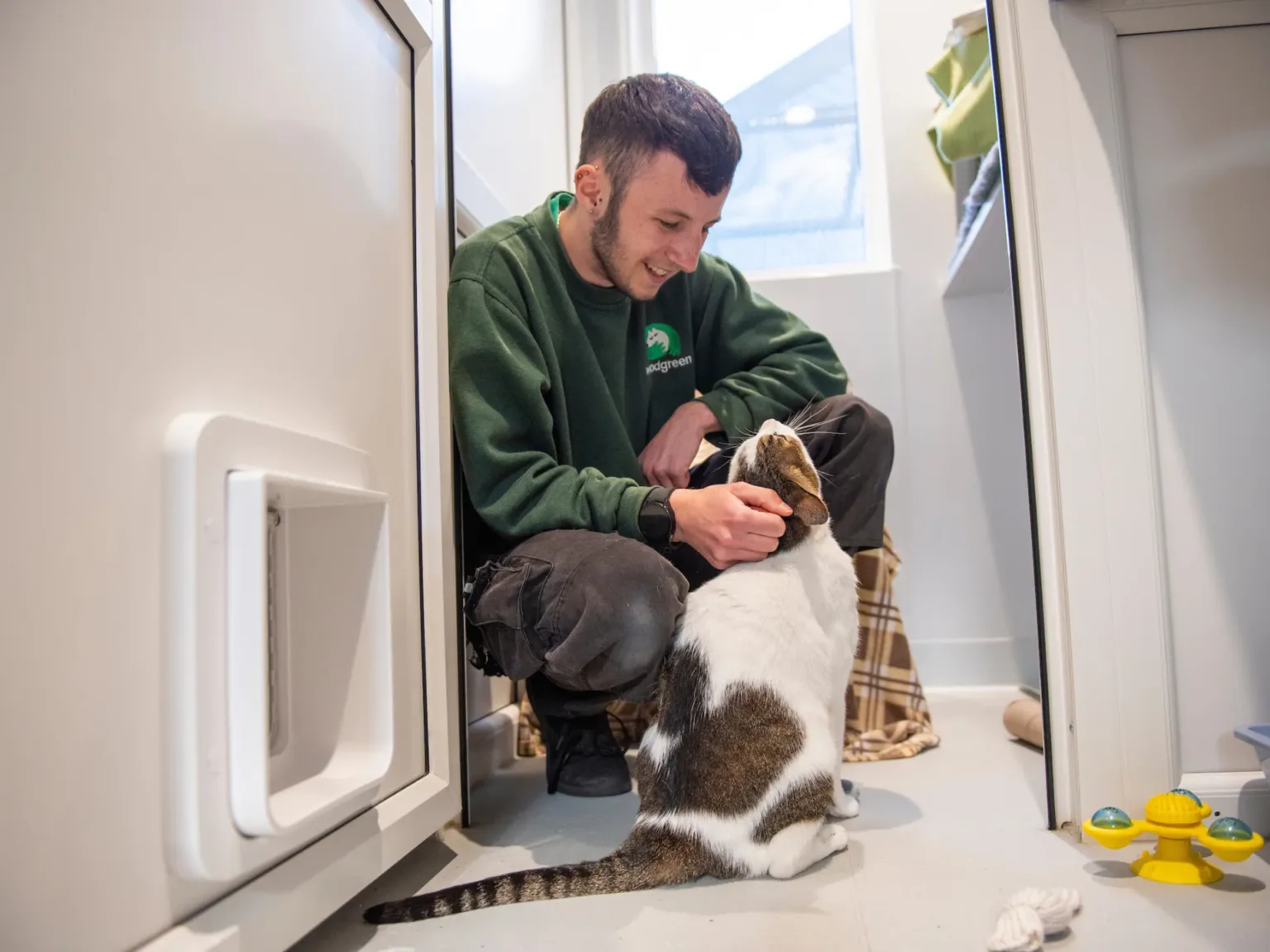 A Woodgreen team member sitting with a tabby and white cat.
