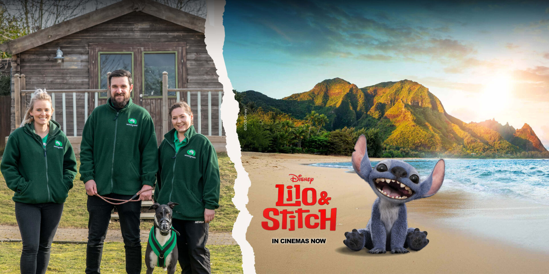 Three people in green jackets and a dog, supported by Woodgreen pets charity, stand in front of a cabin. Next to them, Stitch from Disney’s Lilo & Stitch sits on a beach with mountains behind. Text reads: Lilo & Stitch In Cinemas Now.