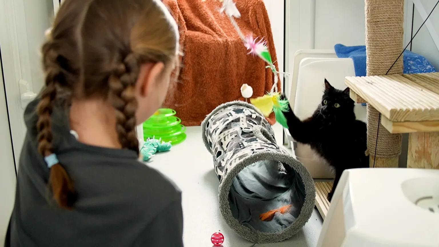 A young girl with braided hair plays with a black cat using a feather toy in a room filled with cat toys and a scratching post. The cat is reaching up eagerly toward the toy.