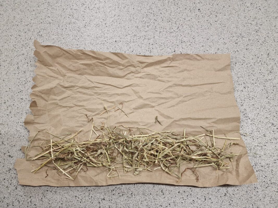 A crumpled sheet of brown paper lies on a speckled gray surface with a small pile of dry hay or straw spread across the lower half of the paper.