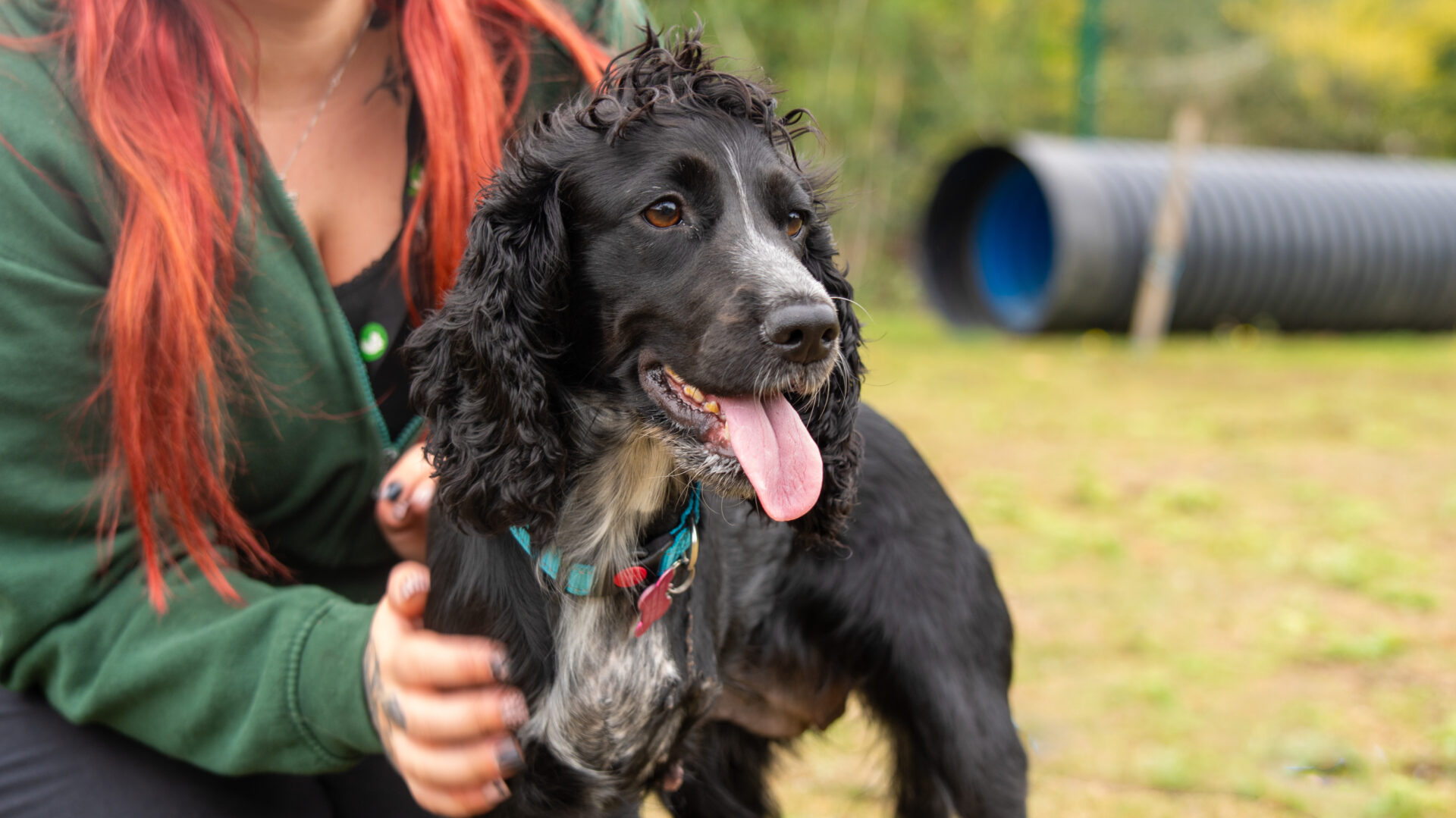 A black and white dog with floppy ears and its tongue out sits next to a person with long red hair outdoors, with blurred grass and a large black tunnel in the background.