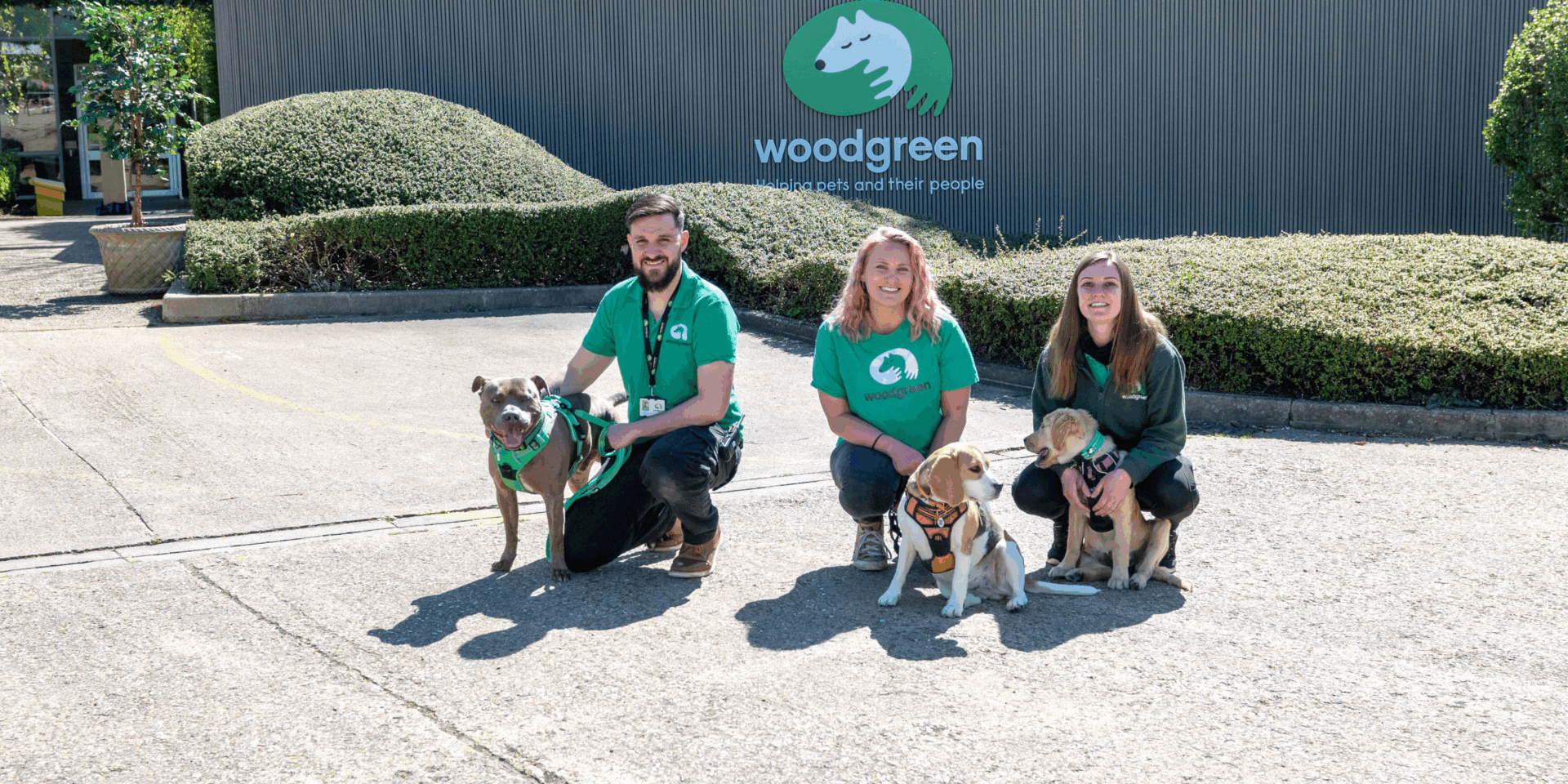 A group of people with dogs gather to support the Woodgreen pets charity.