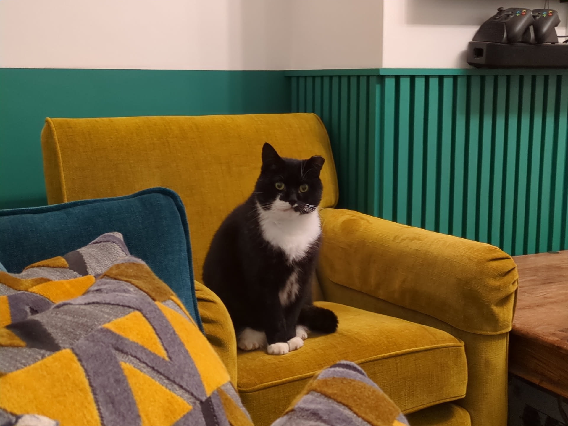 A black and white cat sits on a mustard yellow armchair next to patterned cushions in a cozy living room with green and white walls and a wooden table.