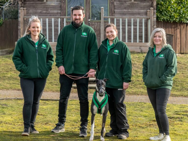 Four people in matching green jackets stand outdoors with a greyhound on a leash, smiling for a corporate fundraising event. A wooden building and greenery are in the background as they pose together for the photo.