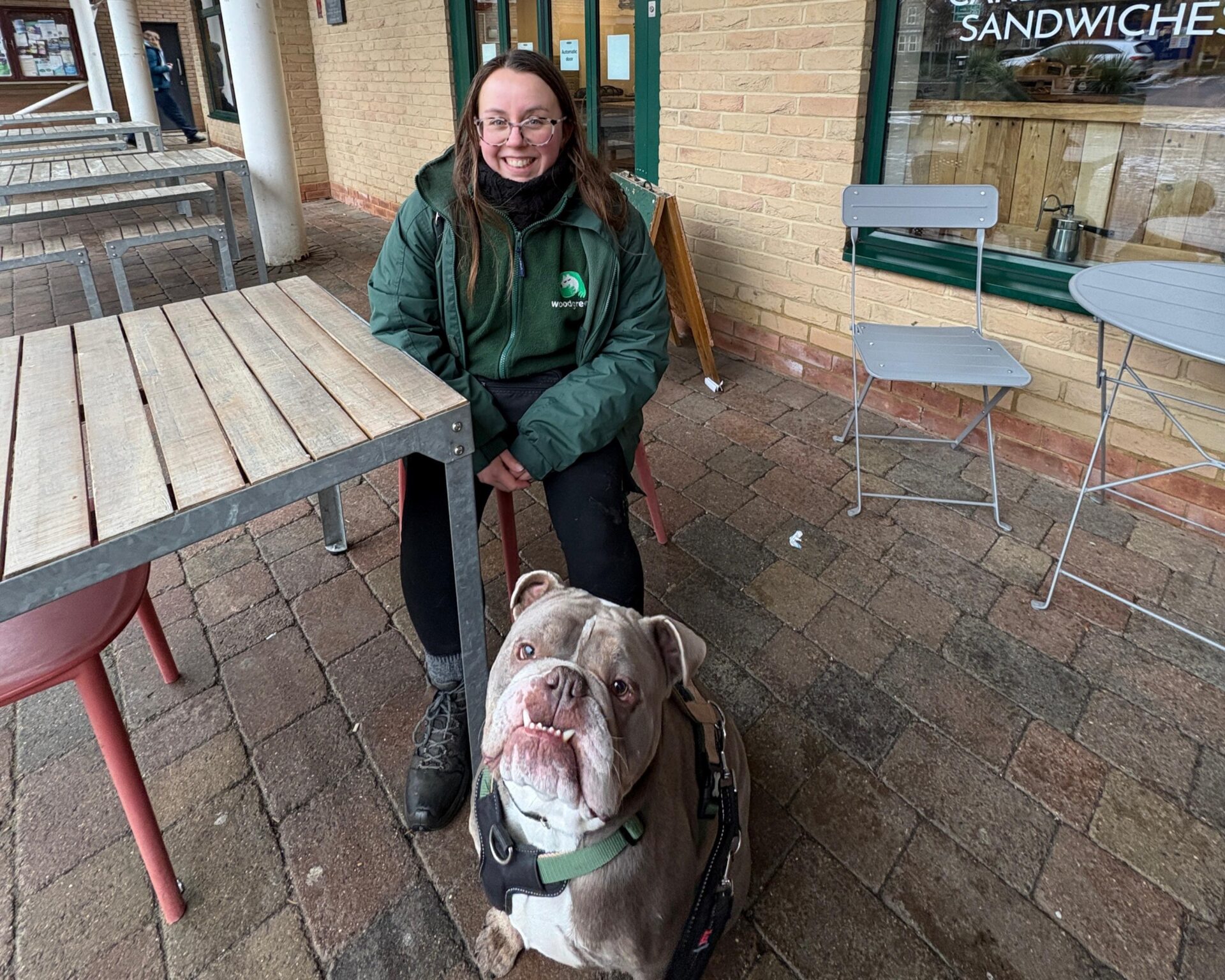 A smiling person in a green jacket sits at an outdoor café table on a brick patio, while their large British Bulldog, wearing a harness, sits in front of them and looks at the camera.