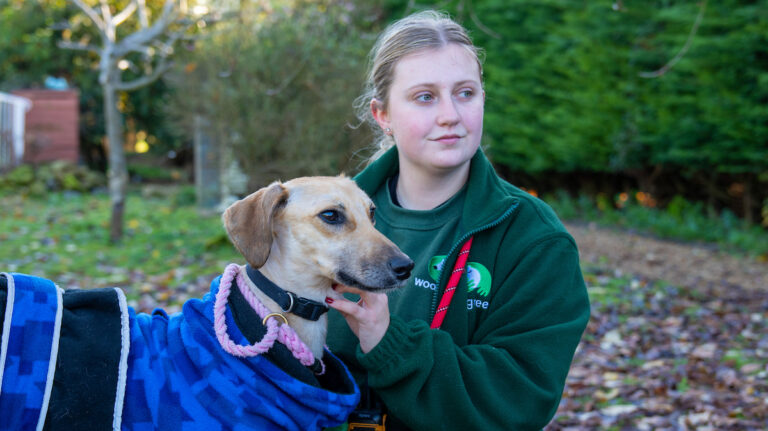 A young woman in a green jacket sits outdoors holding a tan-coloured dog wearing a blue coat. They both look off to the right, surrounded by greenery and fallen leaves.