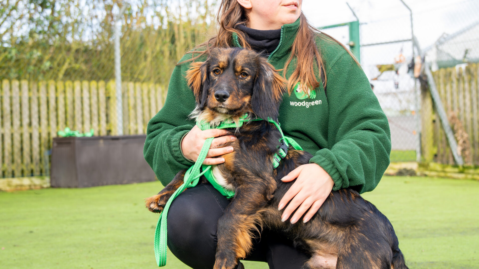 A person in a green Woodgreen jacket kneels on grass, holding a brown and black cocker spaniel cross on a green lead. There is a wooden fence and wire fencing in the background.