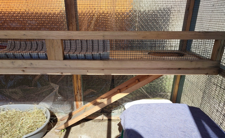 A wooden ramp leads up to a mesh-enclosed platform, with a bowl on top and a container of hay plus a covered item on the ground below. Sunlight streams in, casting gentle shadows across the scene.