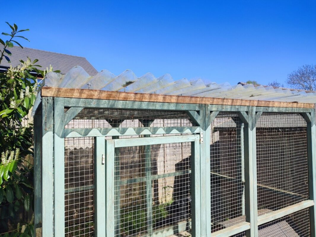 A wooden rabbit hutch with wire mesh sides and a corrugated plastic roof, set against a clear blue sky and surrounded by greenery and rooftops.
