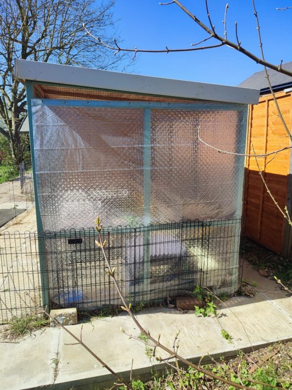 A small glasshouse with a sloping roof, covered in clear plastic sheeting and bubble wrap, stands on a paved area beside a wooden shed and a nearby rabbit run, all surrounded by greenery under a clear blue sky.