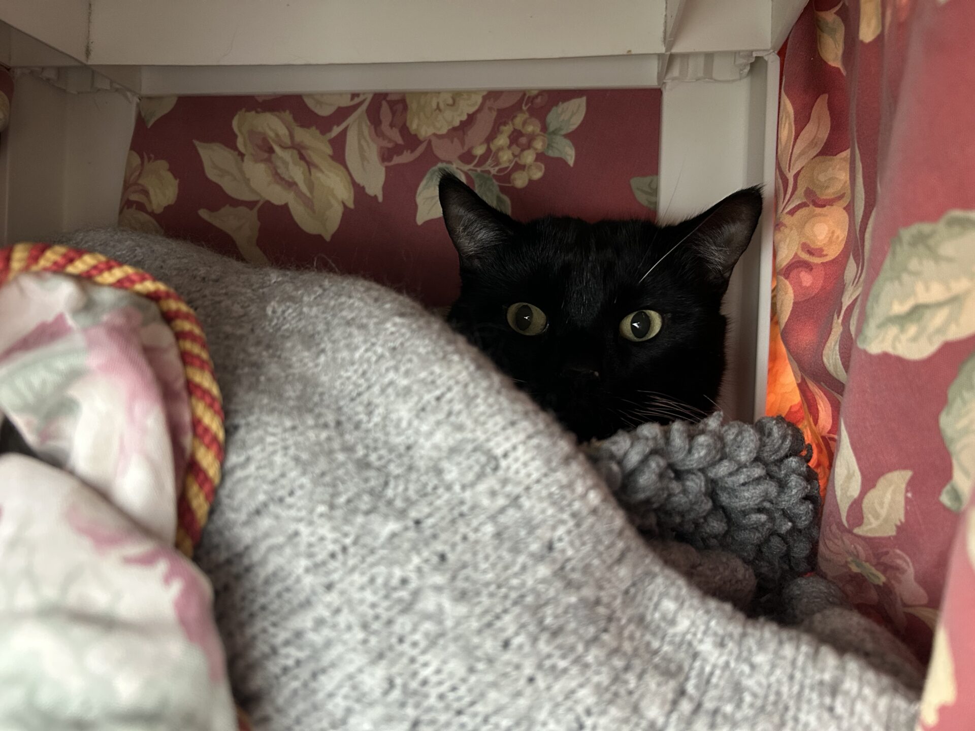 A black cat with wide eyes is partially hidden behind a grey knitted blanket and floral-patterned fabrics, peeking out from a cosy, enclosed space with floral wallpaper.