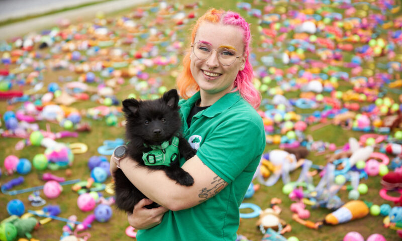 A smiling person with bright pink and orange hair holds a small black dog. They stand on grass covered with colourful dog toys scattered in the background.