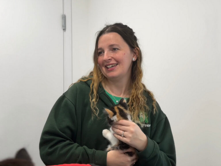 A woman with wavy, light brown hair wearing a green hoodie smiles while holding a small calico kitten against a plain white background.