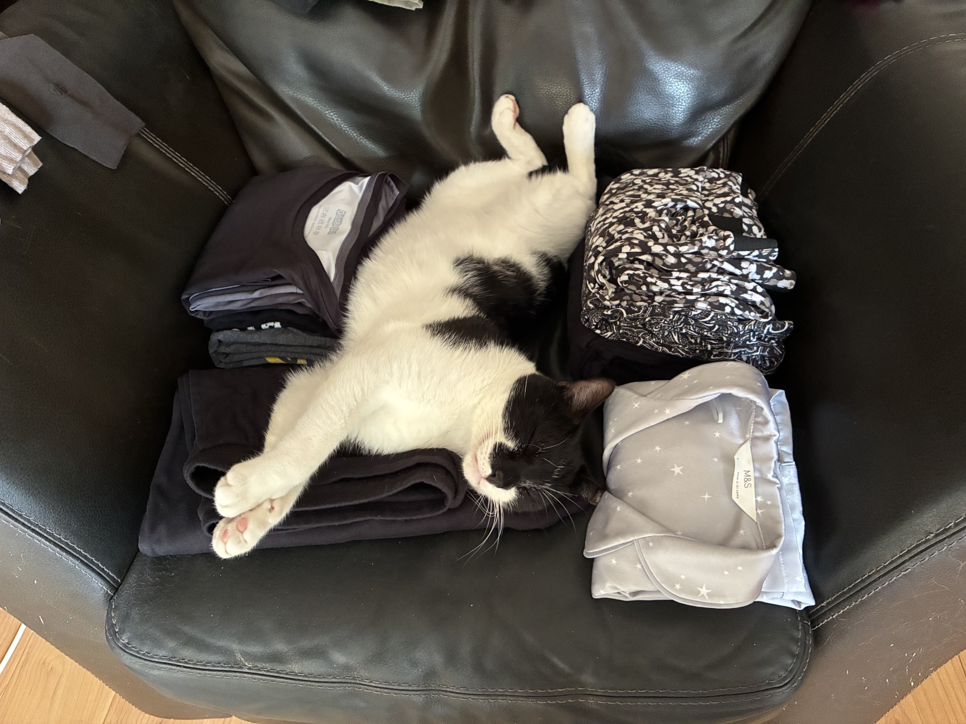 A black and white cat is sleeping sprawled out on folded clothes on a dark armchair, surrounded by neatly stacked shirts and pyjamas.