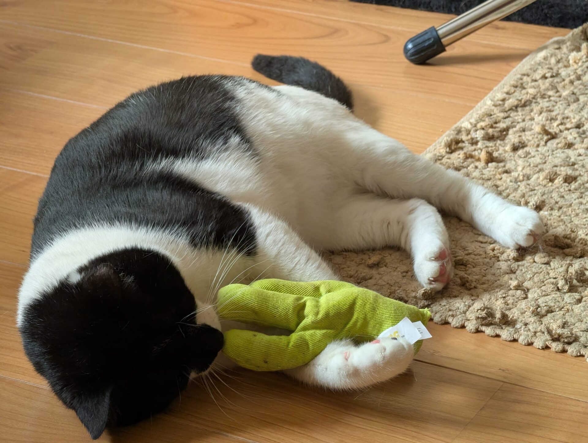 A black and white cat is lying on a wooden floor, cuddling a green soft toy with its front paws near the edge of a beige rug.