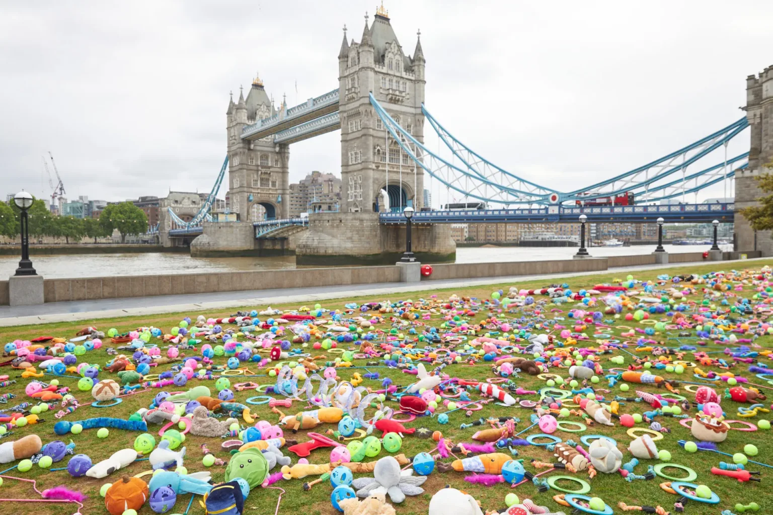 Hundreds of colourful stuffed toys are scattered across a grassy area near the River Thames, with London’s Tower Bridge in the background under a cloudy sky.