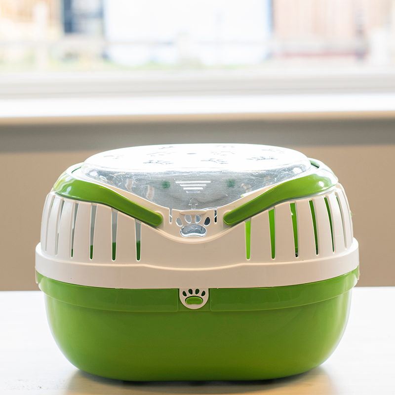 A green and white plastic pet carrier with a transparent lid sits on a light-coloured surface in front of a window with a blurred outdoor background.