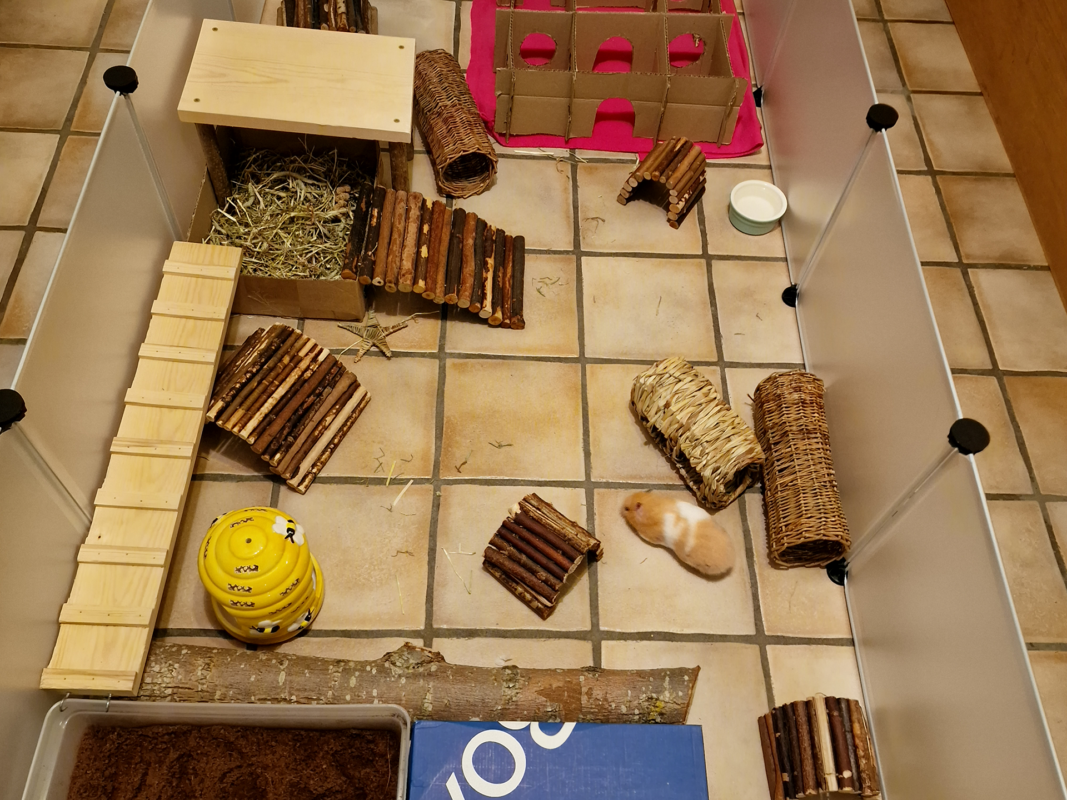 A hamster runs in a spacious enclosure with various tunnels, ramps, wooden bridges, a hideout with hay, a yellow toy, and a food dish on a tiled floor. The play area is bordered by clear panels.