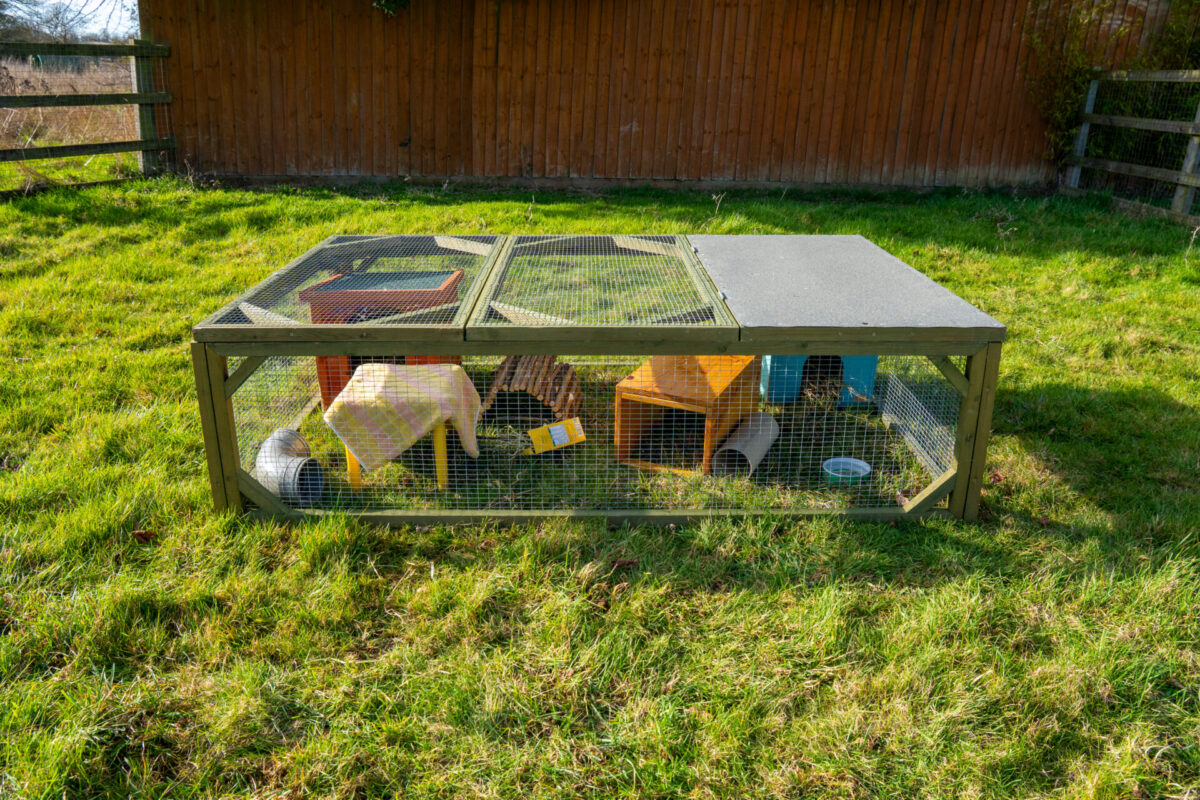 A wooden and wire outdoor animal enclosure sits on grass, containing small shelters, toys, and bowls. It is placed in a sunny garden with a wooden fence and trees in the background.