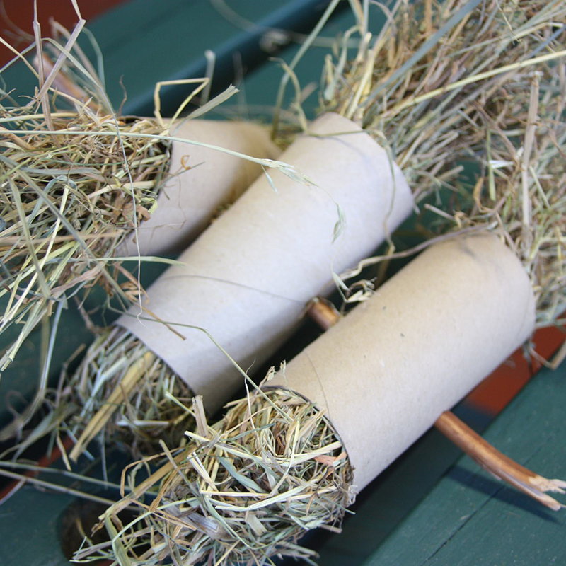 Three empty toilet rolls with hay are filled and set on a green wooden surface, creating simple guinea pig enrichment—hay protrudes from both ends, inviting curious nibblers.