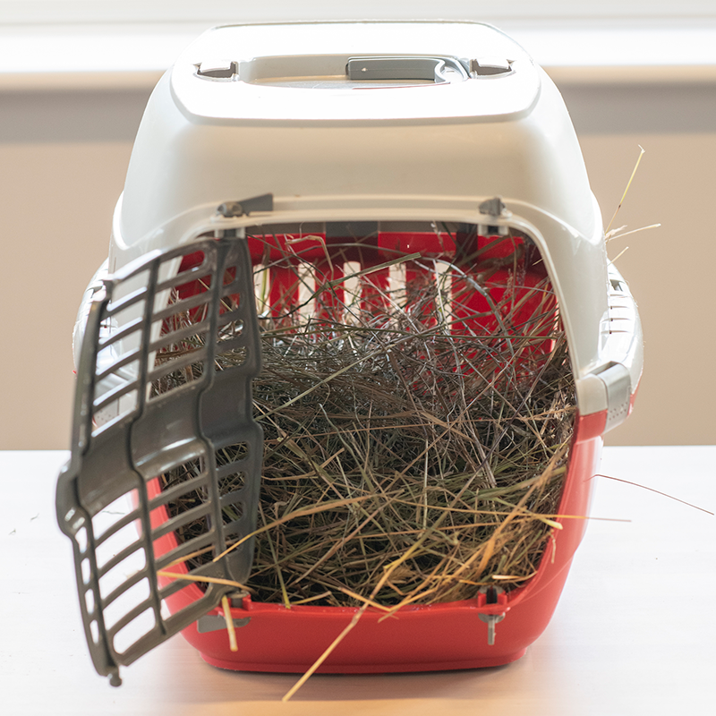 A red and white pet carrier with its door open sits on a table, filled with hay.