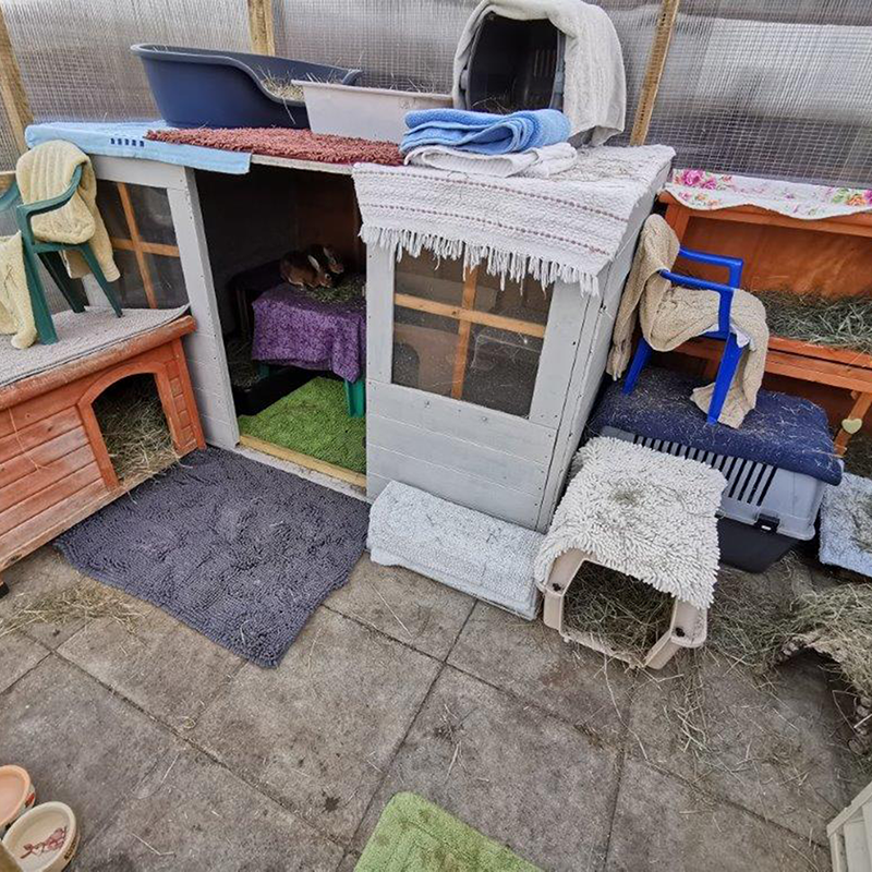 A cosy outdoor enclosure with small animal huts, cages, blankets, and mats, arranged for pets like rabbits or guinea pigs. Bowls and hay are scattered around the set-up, providing comfort and shelter.