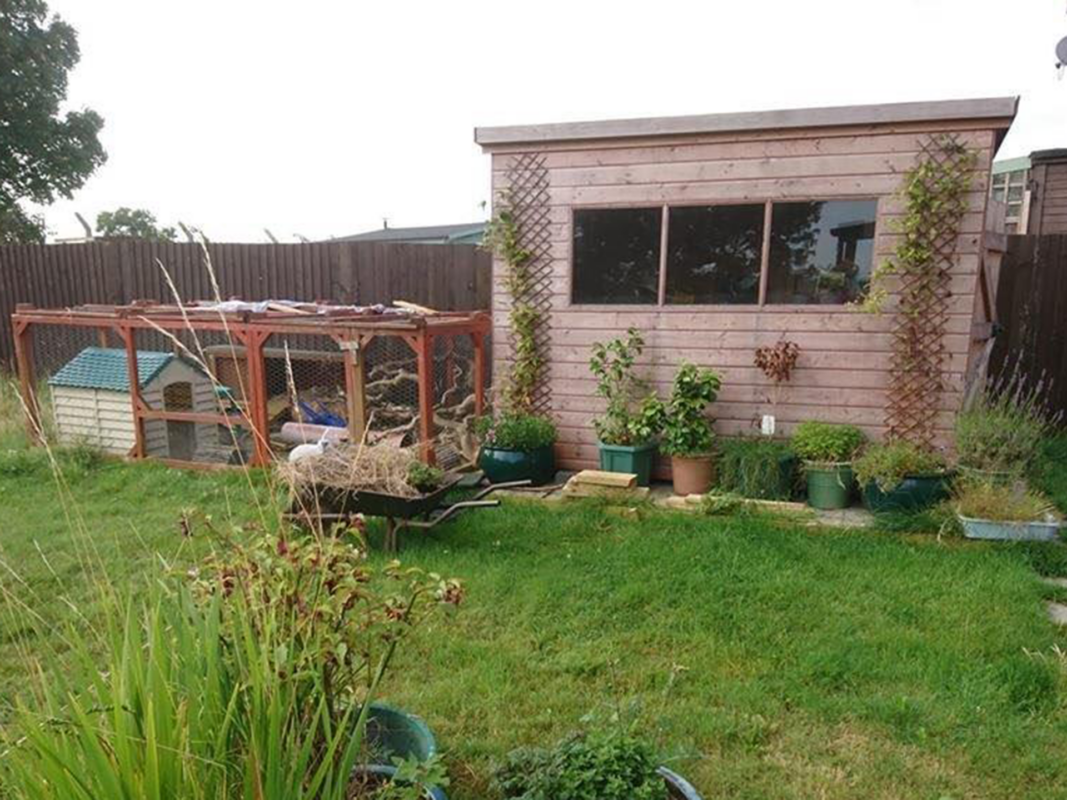 A wooden garden shed with potted plants sits beside a large outdoor animal hutch and green lawn. A wheelbarrow, garden tools, and a fenced area are visible in the grassy back garden.