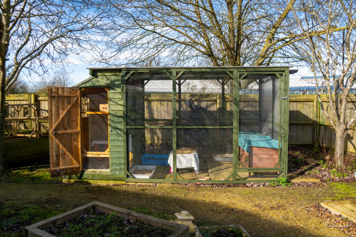 A large, green wooden and wire outdoor enclosure stands in a garden, with a door open on the left and trees in the background. The enclosure contains animal housing items like boxes and blankets.