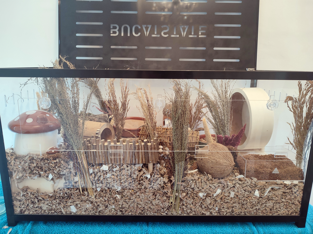A small animal enclosure with shredded bedding, dried plants, a wooden bridge, a mushroom decoration, a coconut husk, a hideout, and various natural materials, against a black background labelled INVISIBLE.