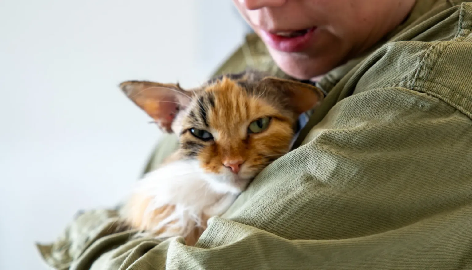 A person in a green jacket holds a calico cat close to their chest. The cat looks directly at the camera with one ear back, appearing calm and slightly wary.