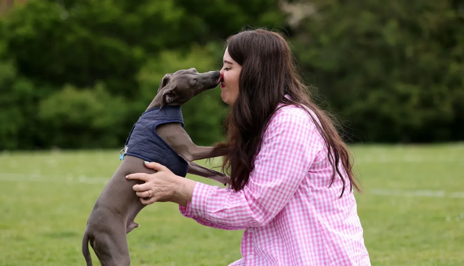 A woman in a pink chequered shirt is kneeling on grass while a small grey dog wearing a blue vest stands on its hind legs and licks her face. Trees and greenery are visible in the background.